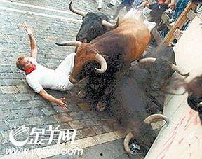 新化斗牛资料,千年传承的民间竞技魅力